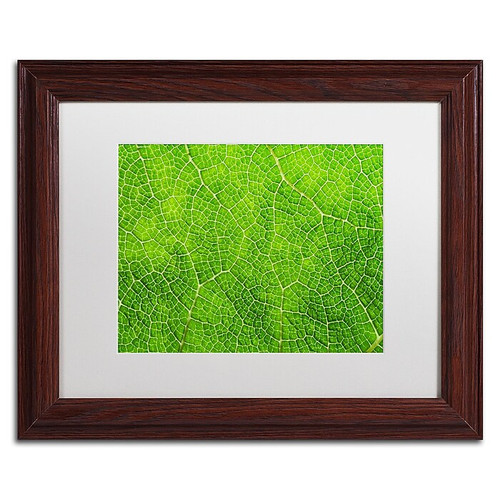 Trademark Fine Art Cora Niele 'Leaf Texture VII' 11" x 14" Matted Framed (190836314966)