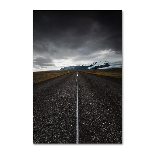 Trademark Fine Art Philippe Sainte-Laudy 'Night is Day' 12" x 19" Canvas Stretched (190836318766)