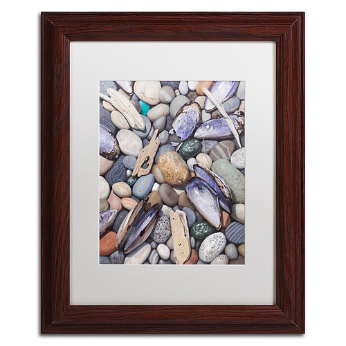 Trademark Fine Art Stephen Stavast 'Treasure at Muscle Beach' 11 x 14 (ALI0747-W1114MF)