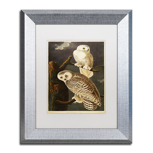 Trademark Fine Art ''Snowy Owl'' by John James Audubon 11" x 14" White Matted Silver Frame (BL01299-S1114MF)