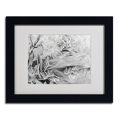 Trademark Kurt Shaffer "Frost Pattern #2" Art, White Matte With Black Frame, 11" x 14" (65dcf7e5e8837636b11a2883_ud)