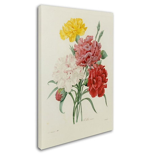 Trademark Joseph Redoute "Carnations from Choix" Gallery-Wrapped Canvas Art, 16" x 24" (65dcf7e5e8837636b11a2891_ud)