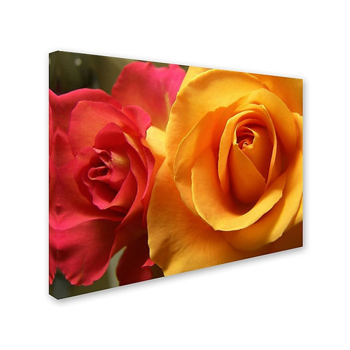Trademark Monica Fleet "Ideal Balance" Gallery-Wrapped Canvas Art, 14" x 19" (65dcf7f7e8837636b11a28ca_ud)