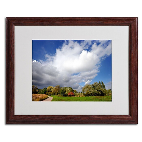 Trademark Philippe Sainte-Laudy "Dust in the Wind" Art, White Matte With Wood Frame, 16" x 20" (65dcf7f8e8837636b11a28e5_ud)