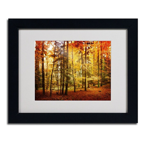 Trademark Philippe Sainte-Laudy "Fall Color" Art, White Matte With Black Frame, 11" x 14" (65dcf81de8837636b11a2980_ud)