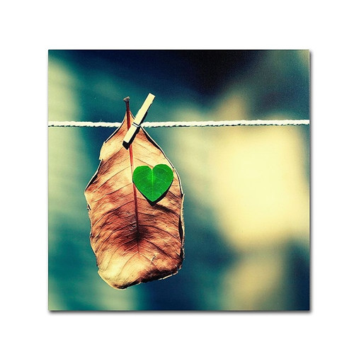 Trademark Fine Art 24" x 24" Wooden Frame Young at Heart (65dcf83ce8837636b11a29f8_ud)