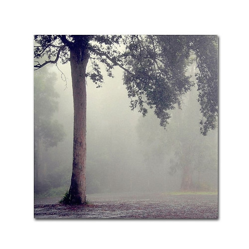 Trademark Fine Art 14" x 14" Wooden Frame Winter Romance (65dcf83ce8837636b11a2a08_ud)