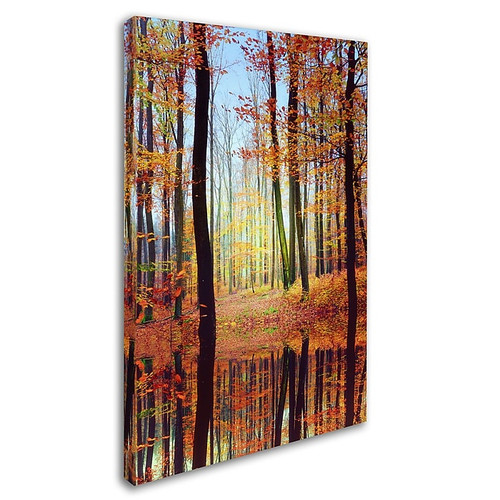 Trademark Philippe Sainte-Laudy "Fall Mirror" Gallery-Wrapped Canvas Art, 30" x 47" (65dcf83ce8837636b11a2a0d_ud)