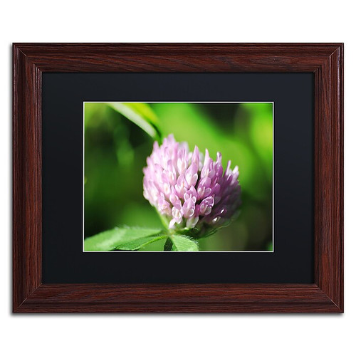 Trademark Fine Art Monica Mize 'Vindictive Lust' 11 x 14 (MF173-W1114BMF)