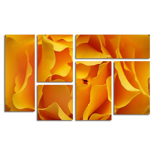 Trademark Fine Art Cotton & Rayon Hypnotic Yellow Row 28" x 47" (65dcf849e8837636b11a2a45_ud)