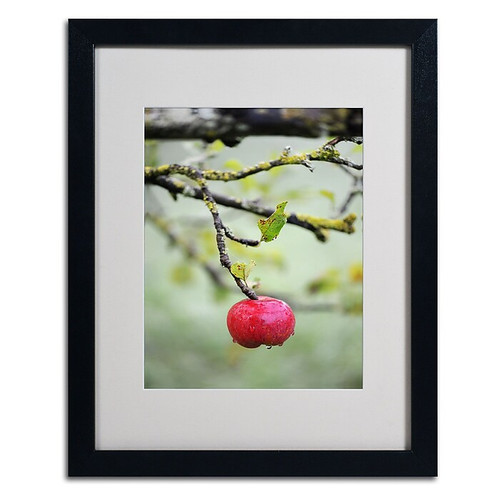 Trademark Philippe Sainte-Laudy "Adam" Art, White Matte With Black Frame, 16" x 20" (65dcf849e8837636b11a2a54_ud)