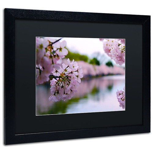 Trademark CATeyes "Cherry Blossoms 2014-2" Art, Black Matte W/Black Frame, 16" x 20" (65dcf855e8837636b11a2a6e_ud)