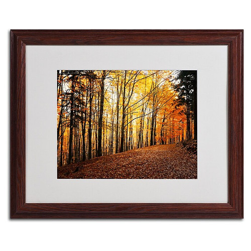 Trademark Philippe Sainte-Laudy "Autumn Leaves" Art, White Matte With Wood Frame, 16" x 20" (65dcf862e8837636b11a2ab3_ud)