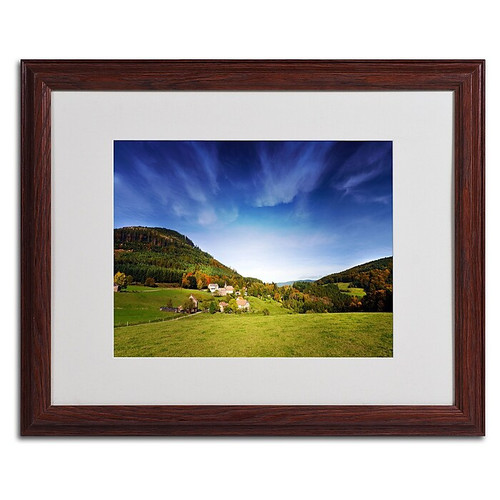 Trademark Philippe Sainte-Laudy "Nature Vosgienne" Art, White Matte With Wood Frame, 16" x 20" (65dcf87ce8837636b11a2b3a_ud)