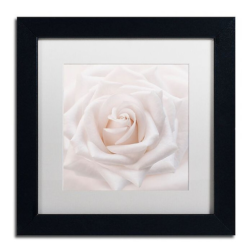 Trademark Fine Art Cora Niele 'Soft White Rose' 11" x 11" Matted Framed (190836309764)