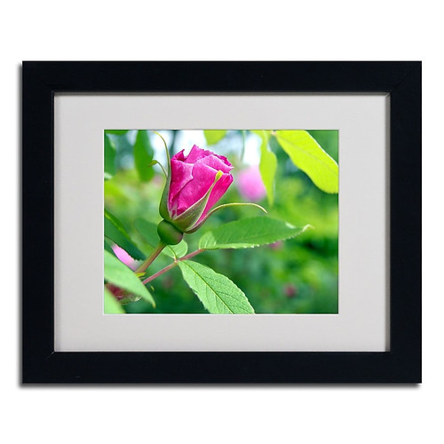 Trademark Monica Fleet "Unfolding Transformation" Art, White Matte W/Black Frame, 11" x 14" (65dcf8bce8837636b11a2c60_ud)