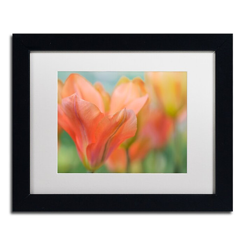 Trademark Fine Art Cora Niele 'Orange Wings Tulips' 11" x 14" Matted Framed (190836248483)