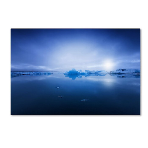 Trademark Fine Art Philippe Sainte-Laudy 'Deep Blue' 12" x 19" Canvas Stretched Art Print (190836292325)