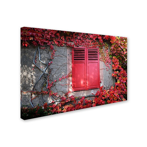 Trademark Philippe Sainte-Laudy "Red Windowpane" Gallery-Wrapped Canvas Art, 22" x 32" (65dcf8d2e8837636b11a2cc5_ud)