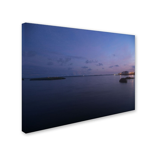 Trademark Monica Fleet "Pure Elegance" Gallery-Wrapped Canvas Art, 24" x 32" (65dcf8f5e8837636b11a2d78_ud)