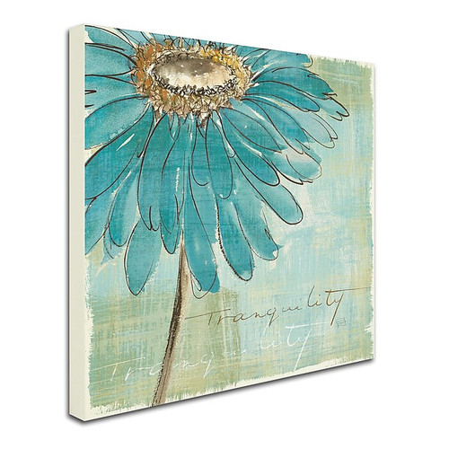 Trademark Chris Paschke "Spa Daisies III" Gallery-Wrapped Canvas Art, 18" x 18" (65dcf902e8837636b11a2db2_ud)