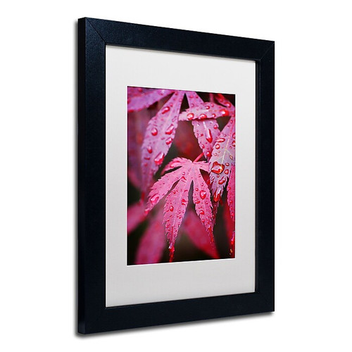 Trademark Philippe Sainte-Laudy "Red Maple Leaves" Art, White Matte With Black Frame, 11" x 14" (65dcf90ee8837636b11a2df6_ud)