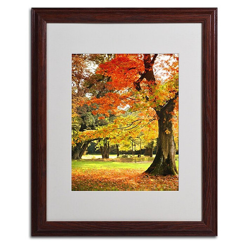 Trademark Philippe Sainte-Laudy "Dance of Colors" Art, White Matte With Wood Frame, 16" x 20" (65dcf919e8837636b11a2e19_ud)