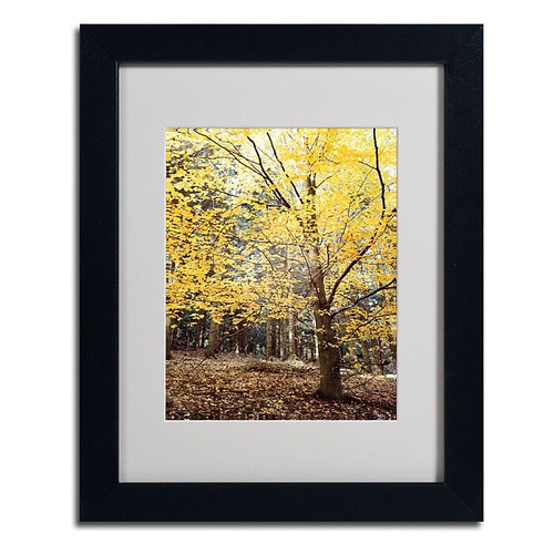 Trademark Philippe Sainte-Laudy "Yellow Fall" Art, White Matte With Black Frame, 11" x 14" (65dcf919e8837636b11a2e28_ud)