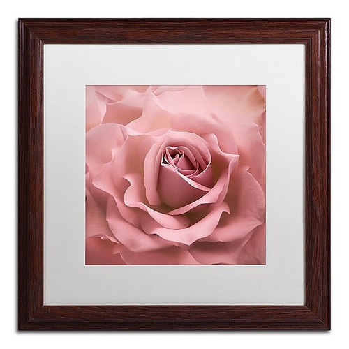 Trademark Fine Art Cora Niele 'Misty Rose Pink Rose' 16" x 16" Matted Framed (190836258314)