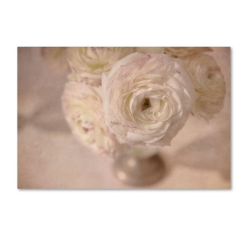 Trademark Fine Art Cora Niele 'White Persian Buttercup Still Life' 12" x 19" Canvas Stretched (190836261208)