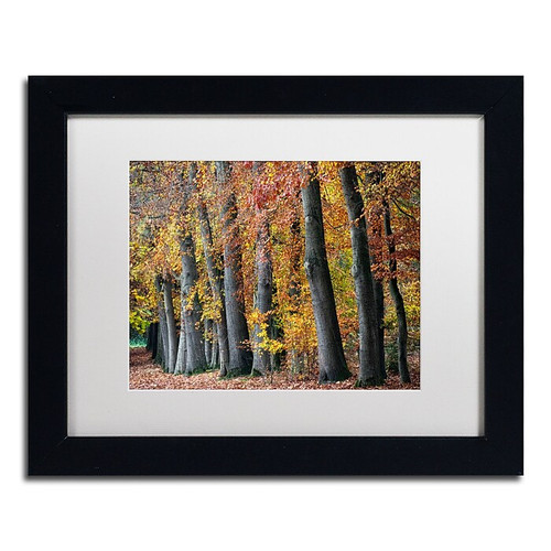 Trademark Fine Art Cora Niele 'Autumn Beeches I' 11" x 14" Matted Framed Art Print (190836315383)