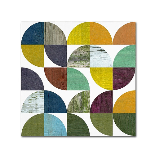 Trademark Fine Art Michelle Calkins 'Rustic Rounds 3.0' 14" x 14" Canvas Stretched Art Print (190836101580)