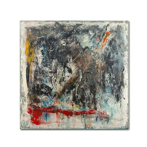 Trademark Fine Art Joarez 'Furia e Paixao' 14" x 14" Canvas Stretched (190836234349)