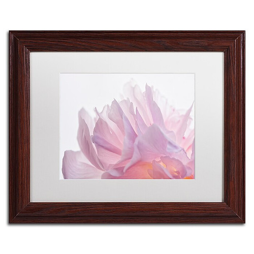 Trademark Fine Art Cora Niele 'Pink Peony Petals VI' 11" x 14" Matted Framed (190836308088)