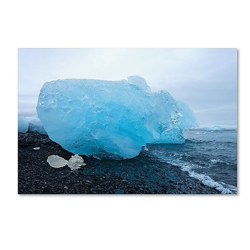 Trademark Fine Art Philippe Sainte-Laudy 'The Blue Egg' 12" x 19" Canvas Art (190836328185)