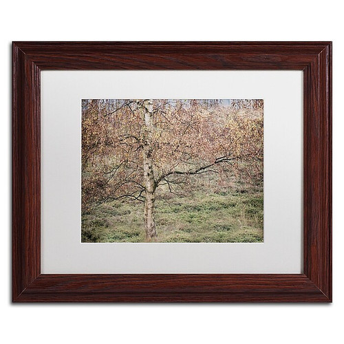 Trademark Fine Art Cora Niele 'Birch' 11" x 14" Matted Framed (190836316205)