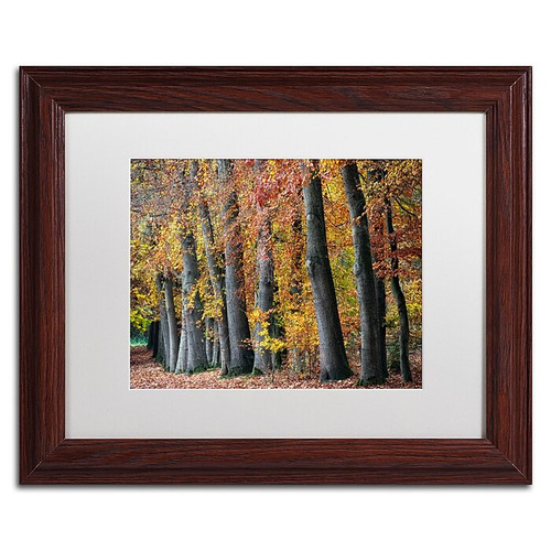 Trademark Fine Art Cora Niele 'Autumn Beeches I' 11" x 14" Matted Framed (190836315505)