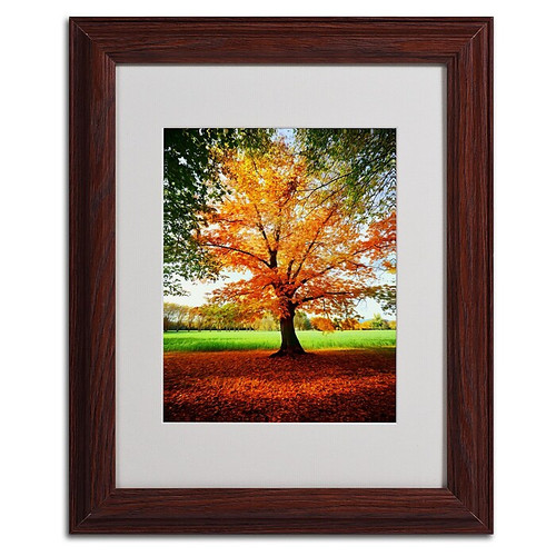 Trademark Philippe Sainte-Laudy "Tout Feu" Art, White Matte With Wood Frame, 11" x 14" (65dcf9e4e8837636b11a31c5_ud)