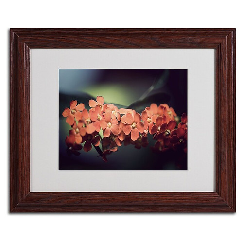 Trademark Philippe Sainte-Laudy "Flowers Waiting" Art, White Matte With Wood Frame, 11" x 14" (65dcf9efe8837636b11a31e3_ud)