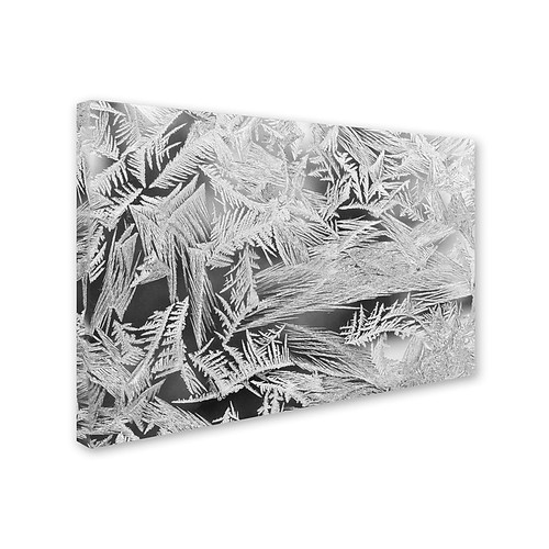 Trademark Kurt Shaffer "Frost Pattern #2" Gallery-Wrapped Canvas Art, 12" x 19" (65dcf9efe8837636b11a31e8_ud)
