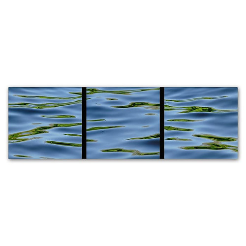 Trademark Fine Art Gregory O'Hanlon 'Water-Triptych' 6 x 19 (GO0044-C619GG)