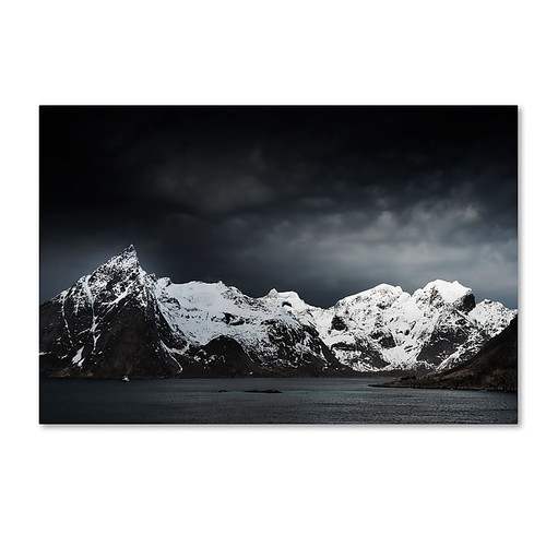 Trademark Fine Art Philippe Sainte-Laudy 'Need The Sun To Break' 12" x 19" Canvas Stretched (190836127825)