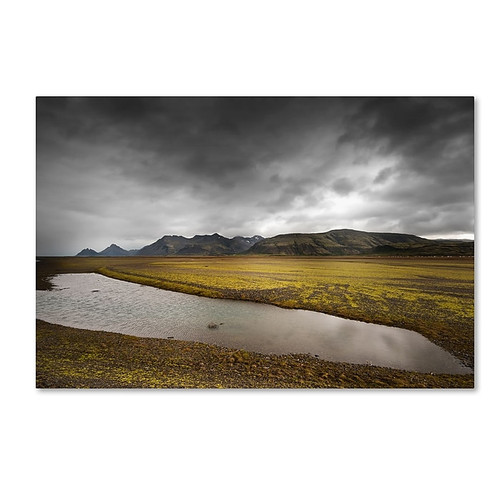 Trademark Fine Art Philippe Sainte-Laudy 'Vibes and Gravy' 12" x 19" Canvas Stretched (190836331741)