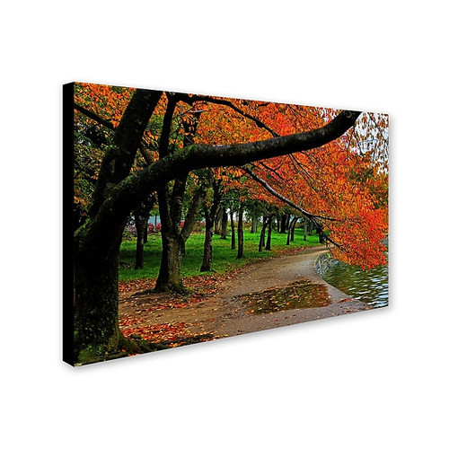 Trademark CATeyes "Tidal Basin Autumn 2" Gallery-Wrapped Canvas Art, 30" x 47" (65dcfac0e8837636b11a35c1_ud)
