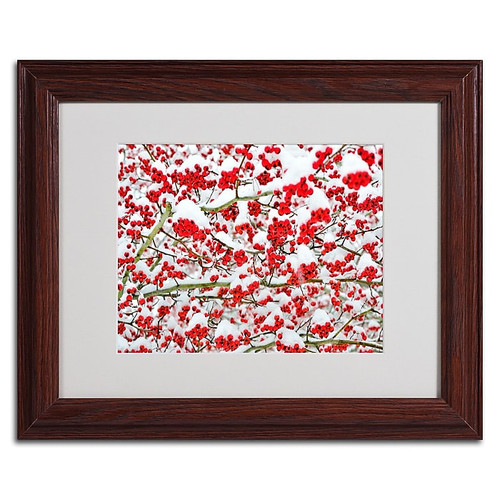 Trademark Kurt Shaffer "Winter Berries in the Snow" Art, White Matte W/Wood Frame, 11" x 14" (65dcfacbe8837636b11a35fa_ud)