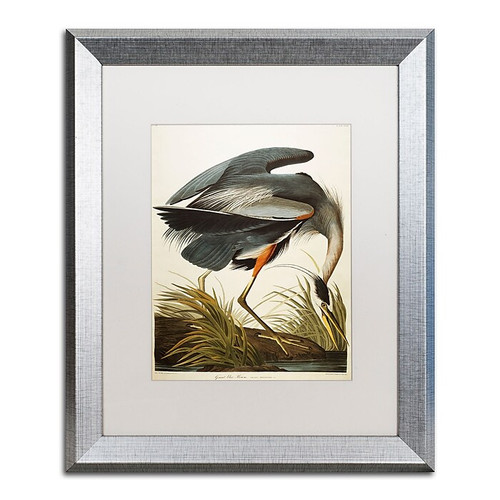 Trademark Fine Art ''Great Blue Heron'' by John James Audubon 16" x 20" White Matted Silver Frame (BL01276-S1620MF)