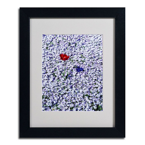 Trademark Kurt Shaffer "One Red Tulip" Art, White Matte W/Black Frame, 11" x 14" (65dcfafae8837636b11a36c8_ud)