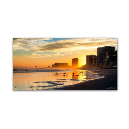 Trademark Fine Art ''Atlantic City Sunset'' by David Ayash 24" x 47" Canvas Art (MA0626-C2447GG)