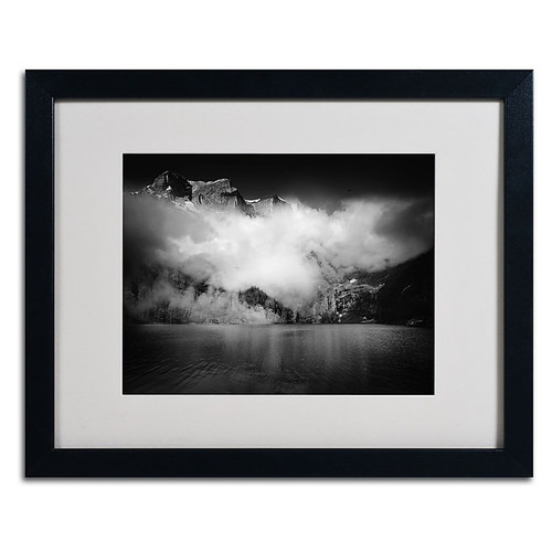 Trademark Philippe Sainte-Laudy "Black Beauty" Art, White Matte With Black Frame, 16" x 20" (65dcfb2be8837636b11a37b8_ud)
