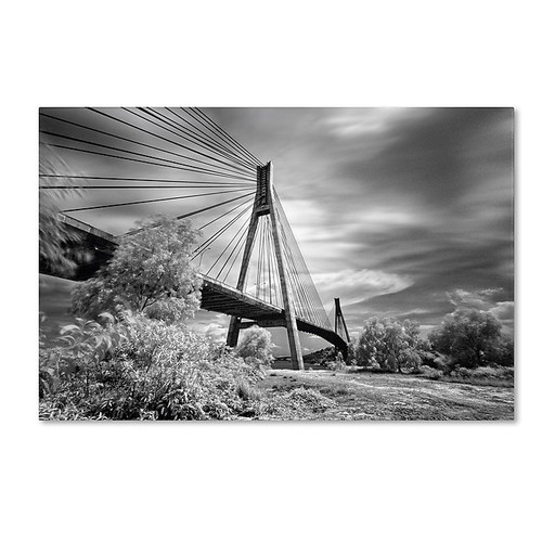 Trademark Fine Art 12" x 19" Acrylic, Canvas, Wood First Link Canvas (65dcfb42e8837636b11a3814_ud)